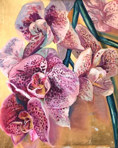 orchidea